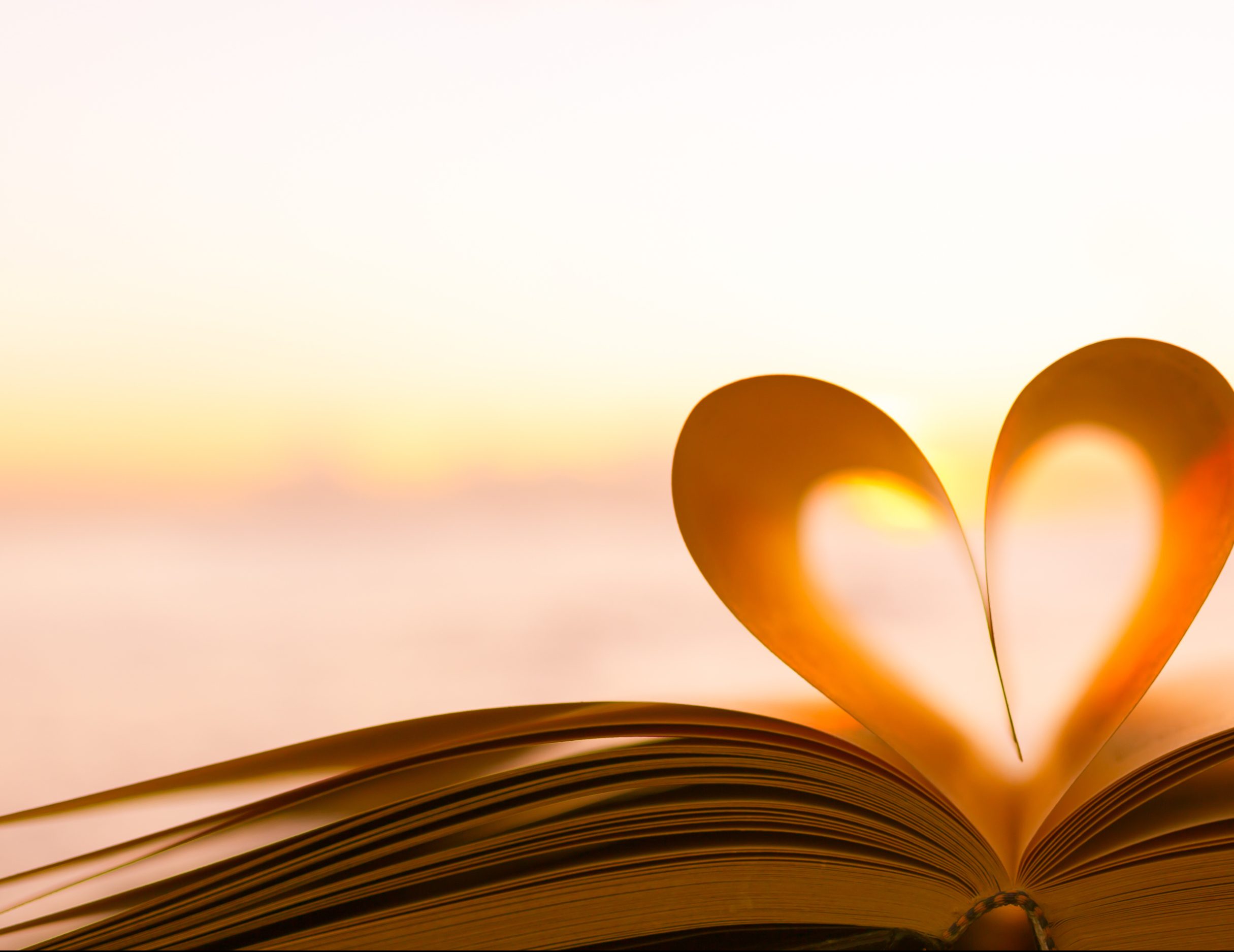 Интересные книги для 4 класса для девочек. Книжный магазин. My best book. My best book. Books ive read.